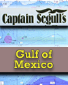 Gulf of Mexico Charts
