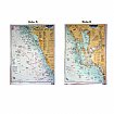 Captain Segull's Offshore Sportfishing Chart CHA39
