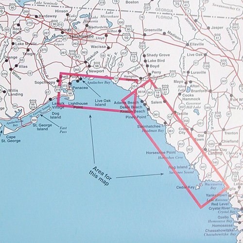 Top Spot - Panacea to Apalachee Bay Area and Steinhatchee to Cedar Key -  Andy Thornal Company