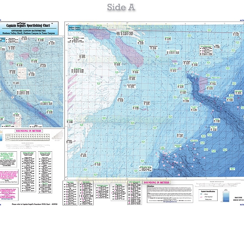 Hudson Canyon Chart