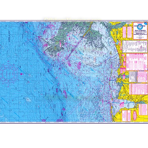 Fish In The Gulf Of Mexico Chart