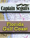 Florida Gulf Coast Charts