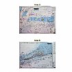SRD37, Sombrero Key, Dry Tortugas, Sand Key, Rebecca Shoal, Nearshore