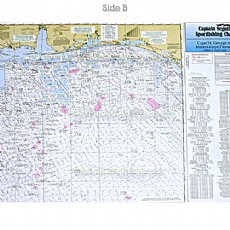 TGM43, Tampa Bay, Mississippi River, Offshore